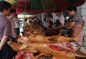 Yulin dog meat dealing